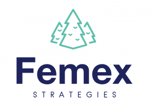 femex-strategies